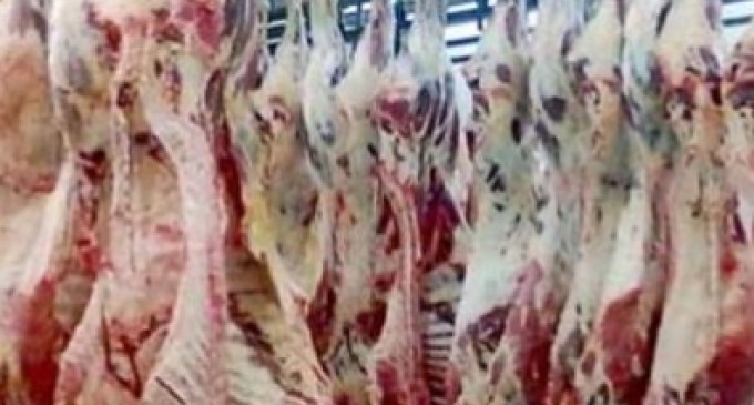 carne bovina suplanta frango nas exportações