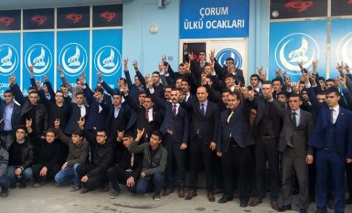 Lobos Cinzentos: ultranacionalistas turcos