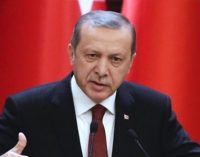Erdogan e o presidencialismo