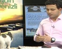 Gatinho rouba a cena em programa ao vivo na Turquia