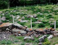 Túmulos em cemitério armênio profanados na Turquia