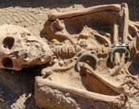 Esqueleto de mulher urartiana do século 9 a.C é encontrado em castelo na Turquia