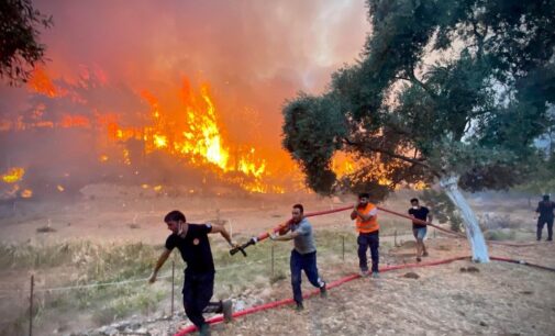 Incêndio florestal avança perto de cidade turística no sul da Turquia