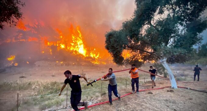 [Opinião] Controvérsias e críticas crescem conforme incêndios florestais devastam a Turquia