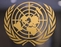 Grupo de Trabalho da ONU exorta o governo turco a acabar com os desaparecimentos forçados