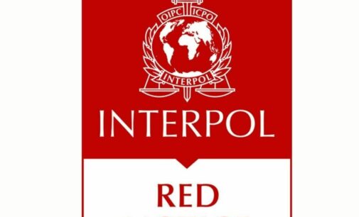 INTERPOL negou 773 pedidos de Aviso Vermelho de Erdogan para indivíduos com supostos vínculos com o movimento Hizmet