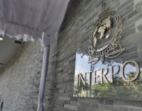 A INTERPOL oferecerá a Erdoğan uma salvação?