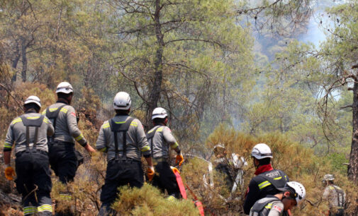 Incêndio florestal no sudoeste da Turquia entra no terceiro dia 