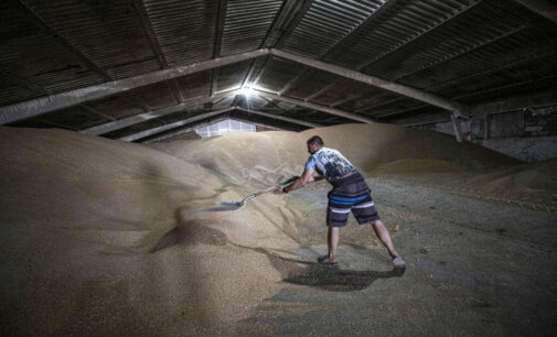 Primeiro carregamento de grãos sai de Odessa