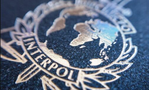 Divisão desenvolvida entre autoridades turcas devido a arquivos da INTERPOL rejeitados e motivados politicamente