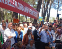 Oposição apoia resistência contínua para preservar a Floresta de Akbelen na Turquia