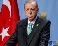 Turquia não ratificará candidatura da Suécia à OTAN antes de outubro, diz Erdoğan