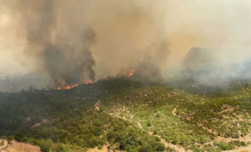 11 aldeias evacuadas devido aos incêndios florestais no noroeste da Turquia