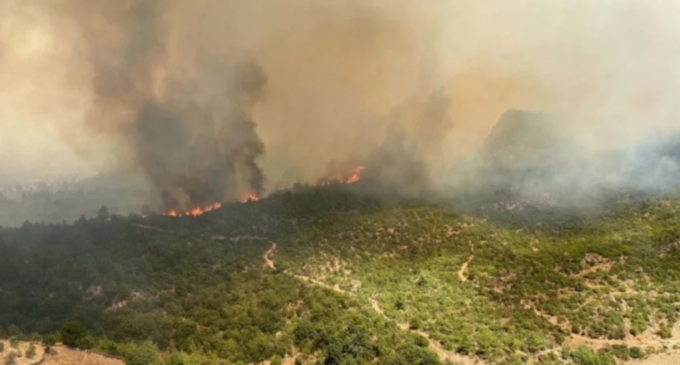 11 aldeias evacuadas devido aos incêndios florestais no noroeste da Turquia