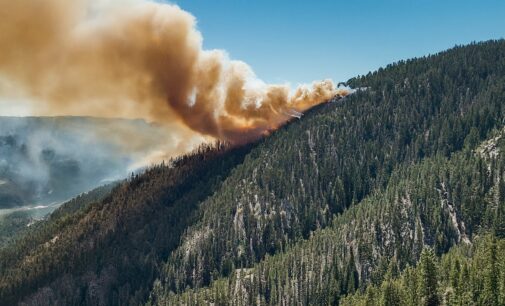 Um incêndio que se espalhou por assentamentos na Turquia matou 11. A Grécia evacua vilarejos por segurança