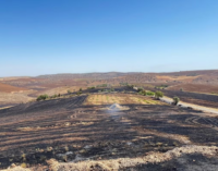 Número de mortos em incêndio florestal na Turquia chega a 15, enquanto especialistas apontam falha em cabos elétricos