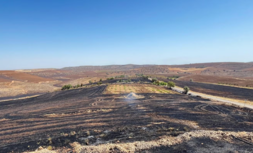 Número de mortos em incêndio florestal na Turquia chega a 15, enquanto especialistas apontam falha em cabos elétricos